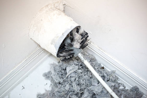 Best Affordable Duct Cleaning Services  in Avoca, IA